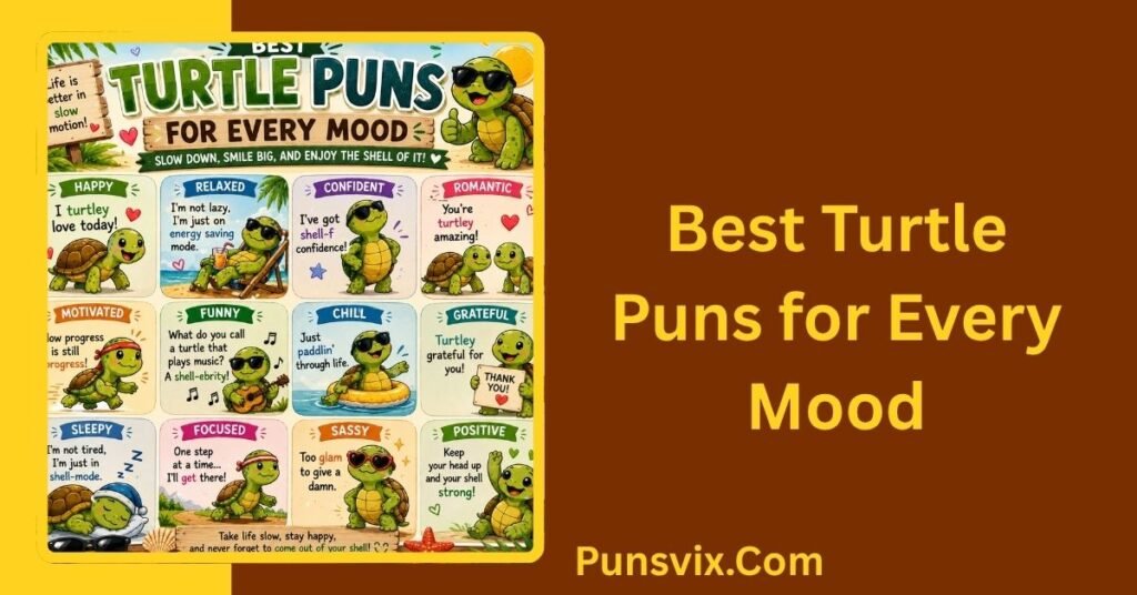 250+ Turtle Puns: Funny, Cute, Clever & Shell-Tastic Laughs 2 Best Turtle Puns for Every Mood