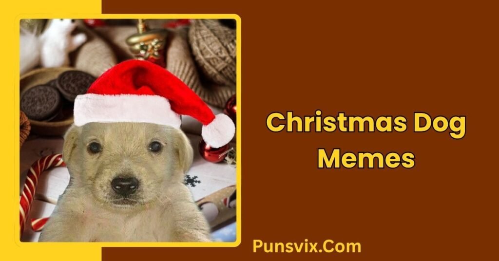 250+ Christmas Dog Puns to Make Your Howl-idays Merry & Bright 2 Christmas Dog Memes