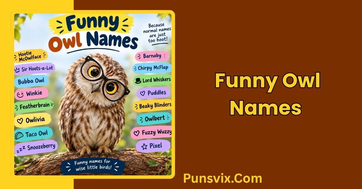 Funny Owl Names